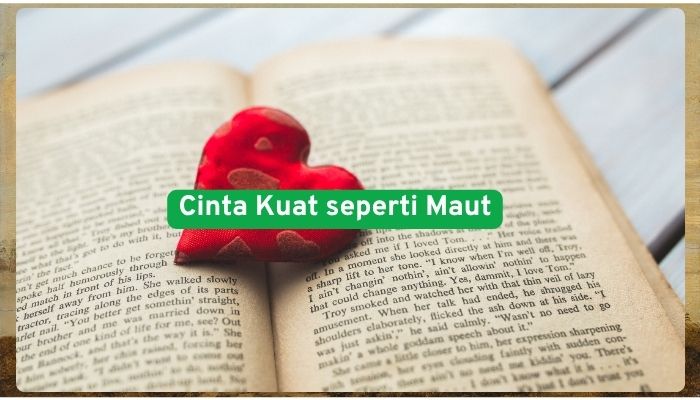 Cinta Kuat seperti maut